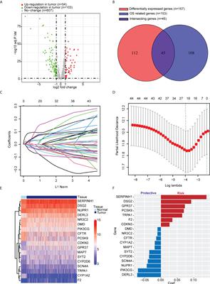 Development and validation of a prognosis prediction model based on 18 endoplasmic reticulum stress-related genes for patients with lung adenocarcinoma